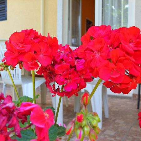 Apartment Girasole Rovinj Kültér fotó